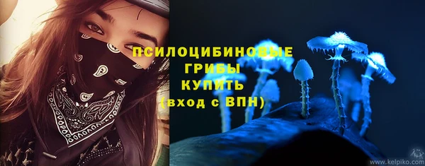 стафф Армянск