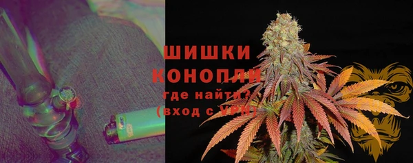 Альфа ПВП Аркадак