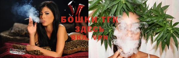 Альфа ПВП Аркадак