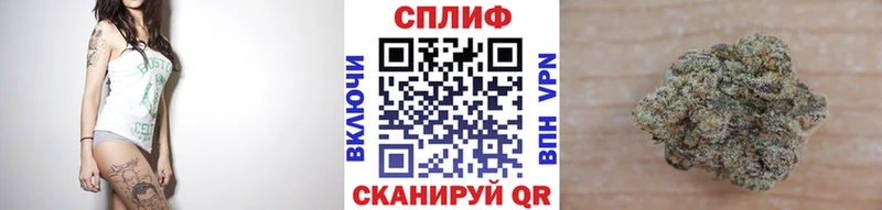 Купить где  Карабулак  Конопля White Widow 
